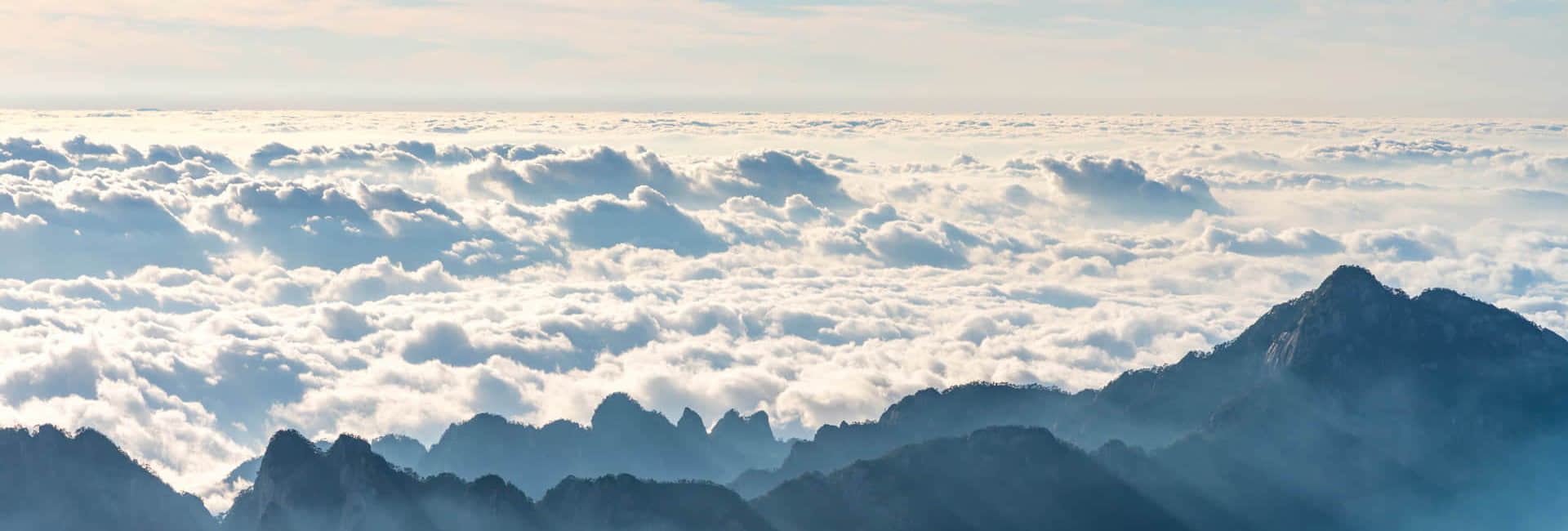 万象城在线（中国）简介